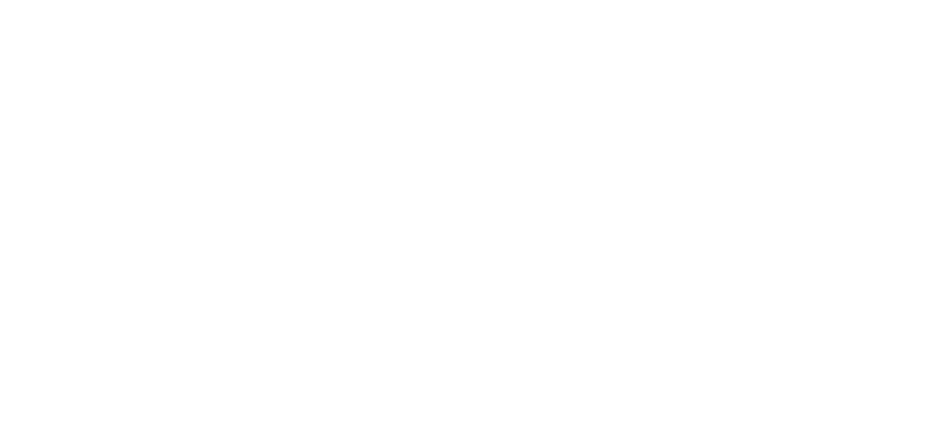 Instituto Privacidade - Logo branco